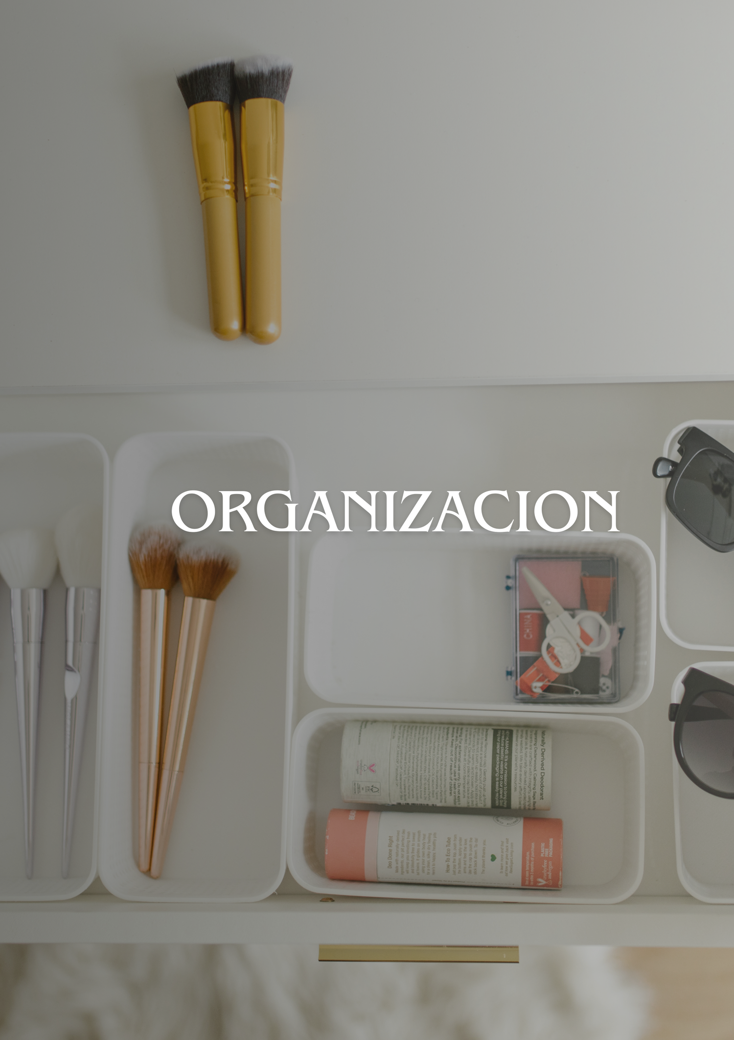 Organización